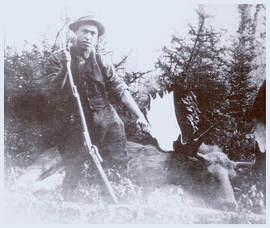 Picture